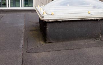 disadvantages of Monkton Wyld flat roofs