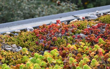 the cost of Monkton Wyld green roof installation
