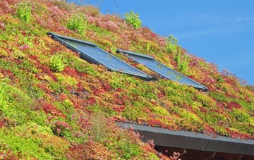 Monkton Wyld living roof systems