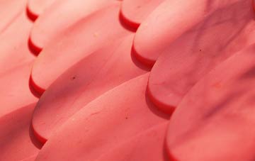 Monkton Wyld plastic roof costs